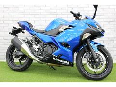 カワサキ　Ｎｉｎｊａ　２５０　エンジンスライダー