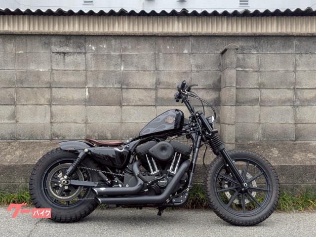 ＸＬ１２００ＮＳアイアン