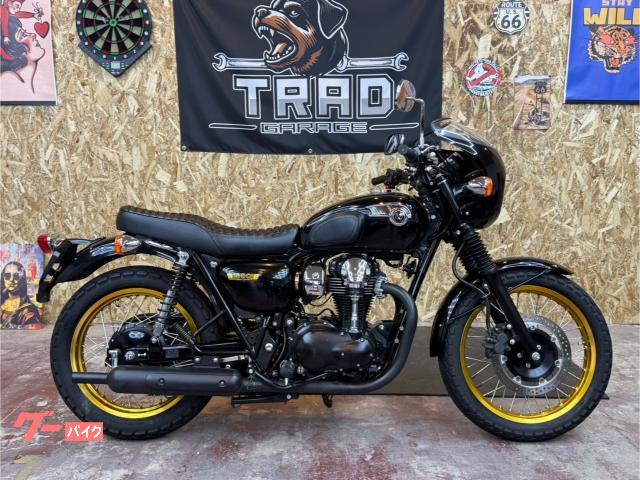 Ｗ８００　スペシャルエディション　ビキニカウル　ＥＴＣ　パワーケーブル　２０１３年登録