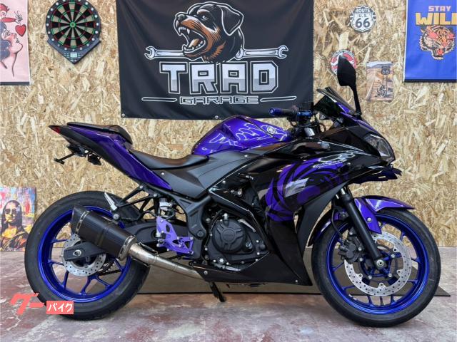 ＹＺＦ−Ｒ２５　ヘッドライトプロジェクター　バックステップ　フェンレス　カーボンＳ／Ｏ　ショートビレッドレバー他
