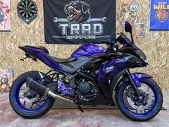 ヤマハ　ＹＺＦ−Ｒ２５　ヘッドライトプロジェクター　バックステップ　フェンレス　カーボンＳ／Ｏ　ショートビレッドレバー他