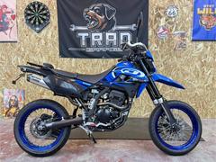 カワサキ　ＤトラッカーＸ　ファイナルエディション　デルタマフラー＆エキパイ　ウオタニＳＰ２　フェンレス　ＵＳＢ他