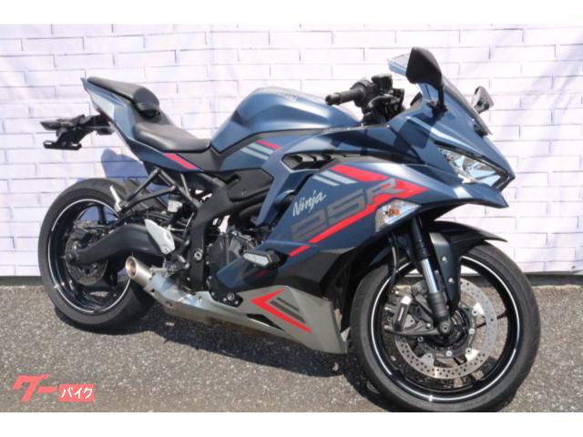 Ｎｉｎｊａ　ＺＸ−２５Ｒ　ＳＥ