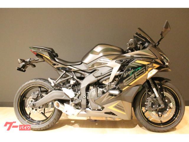 オン25000→9500円 Lサイズ LUIMOTO（ルイモト) Baseline/フロントシートカバー KAWASAKI NINJA ZX