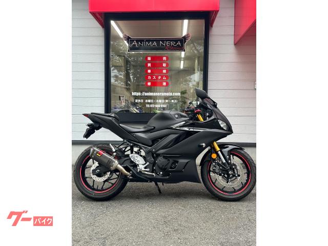 ＹＺＦ−Ｒ２５　２０１９年式　アクラポビッチ、ＥＴＣ、充電式携帯ホルダーなど付いてます。