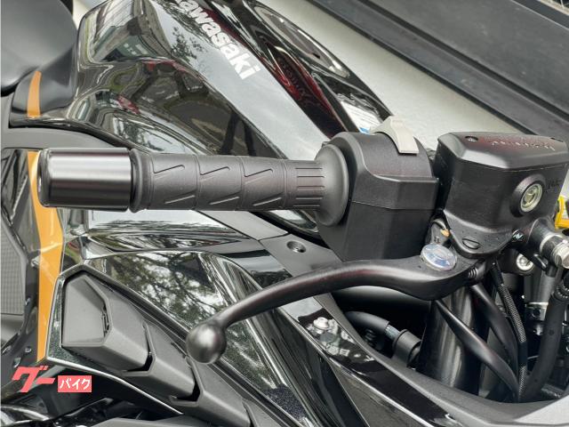 カワサキ Ninja ZX－4R SE 純正フレームスライダー 上下