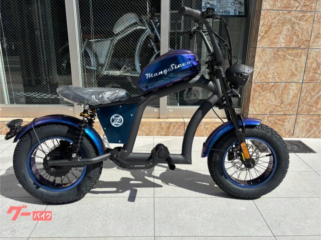 ＭＡＮＧＯＳＴＥＥＮ　ＦＴ０２ＭＩＮＩ　電動バイク　バッテリーＥＶ　充電器付　普通・原付免許　最高速約５０ｋｍ（法定３０ｋｍ／ｈ）