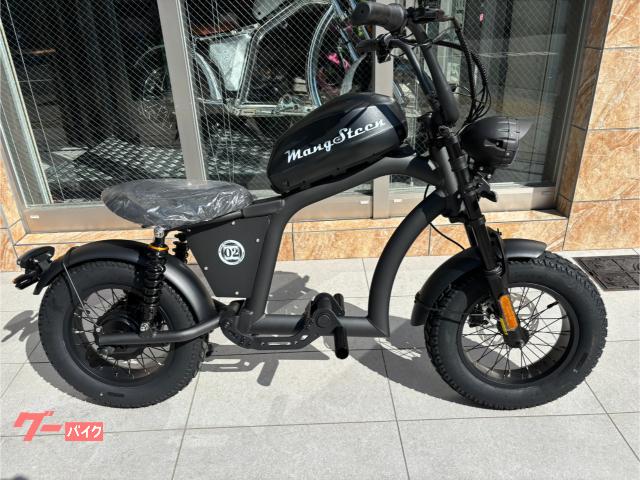 ＭＡＮＧＯＳＴＥＥＮ　ＦＴ０２ＭＩＮＩ　電動バイク　バッテリーＥＶ　充電器付　普通・原付免許　最高速約５０ｋｍ（法定３０ｋｍ／ｈ）