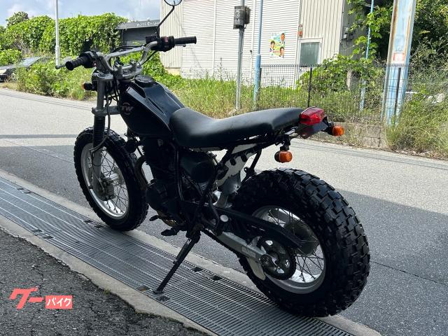 ヤマハ TW200 スーパートラップマフラー セル付｜Danke