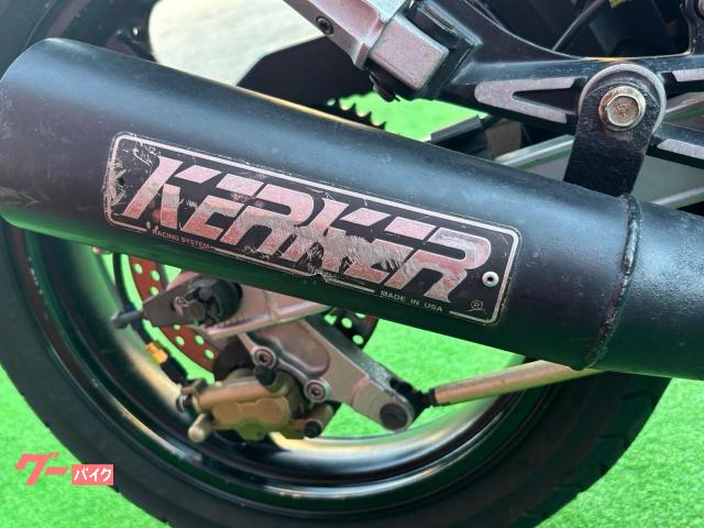 カワサキ GPZ400F カスタムカラー／KERKERマフラー／KR
