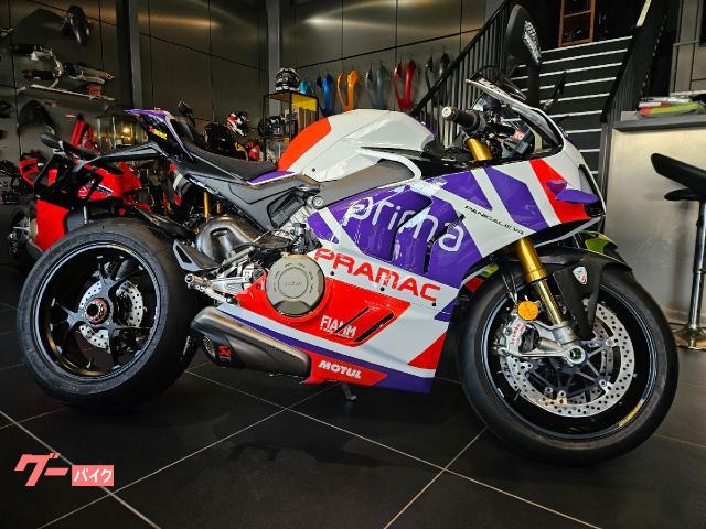 パニガーレＶ４　ワールドチャンピオン・レプリカ　ホルヘ・マルティンレプリカモデル