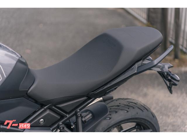 TRIUMPH 800 / — миниатюра 6
