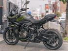 タイガースポーツ800 新型モデル サファイアブラック