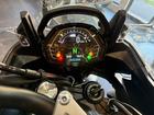 タイガースポーツ800 グラナイト／サファイアブラック 正規ディーラー中古車