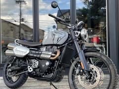 ＴＲＩＵＭＰＨ　スクランブラー１２００Ｘ　ＭＹ２０２４　アッシュグレー　ノーマル車両