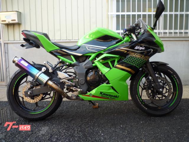 Ｎｉｎｊａ　２５０ＳＬ