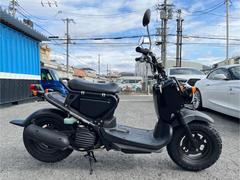 専門 カワサキ Ninja 【イノシシ】 ZX10R 2016-2020 バイク用ヘッドライト