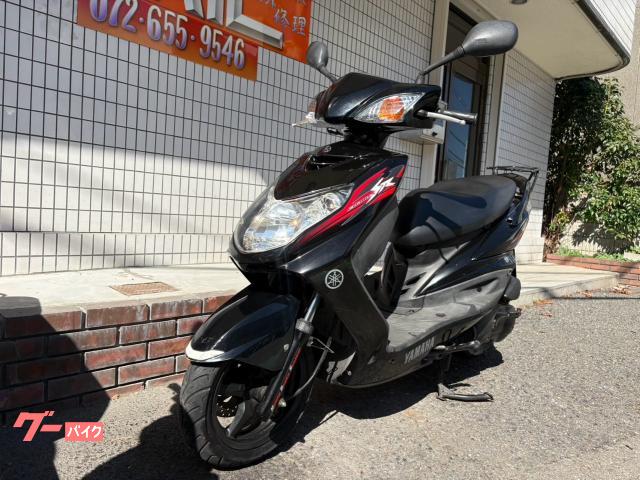 その他 Cygnus ステンカーボン Cygnus-X(13-15) | System Administration