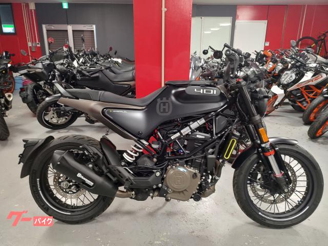 スヴァルトピレン４０１　ＵＳＢ電源　オプションパーツレバー　スクリーン