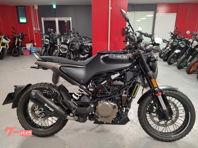 スヴァルトピレン４０１