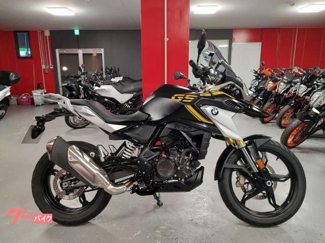 Ｇ３１０ＧＳ　Ｅｄｉｔｉｏｎ　４０Ｙｅａｒｓ　ロングスクリーン　ローダウン