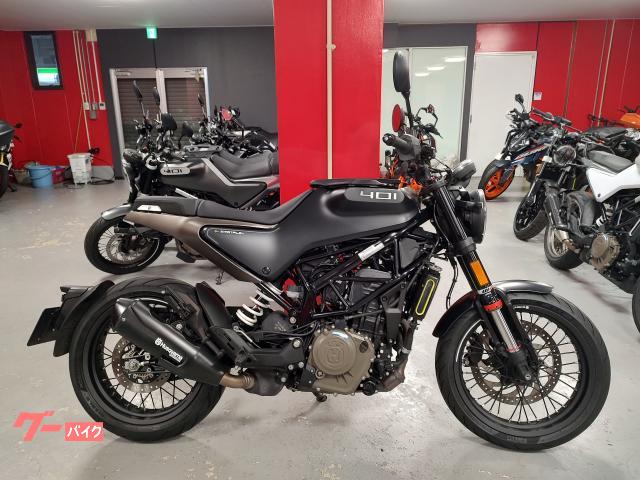 スヴァルトピレン４０１