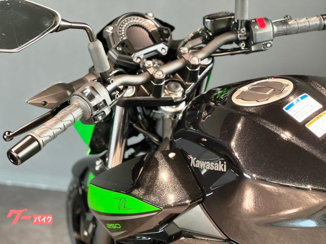 カワサキ Z250 MY2023 新車 キャンディライムグリーン カワサキ Z250 MY2023 新車 キャンディライムグリーン