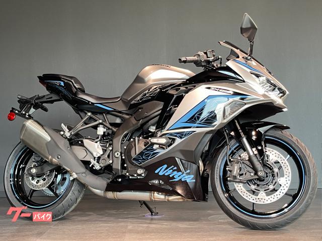 Ｎｉｎｊａ　ＺＸ−２５Ｒ　ＳＥ　ＭＹ２０２４　メタリックファントムシルバー　エボニー