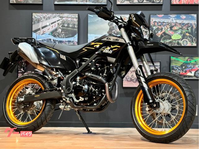 ＫＬＸ２３０ＳＭ　カワサキ正規国内仕様　ＭＹ２０２３　ナックルガード　リアキャリア　社外グリップ装備