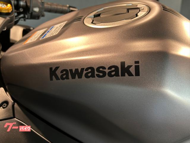 カワサキ Ninja ZX－4R SE MY2025 メタリック