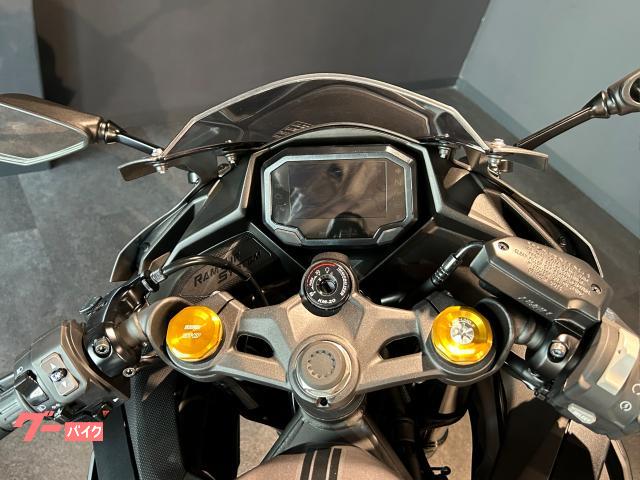 カワサキ Ninja ZX－6R MY2025 新車 パールロボ