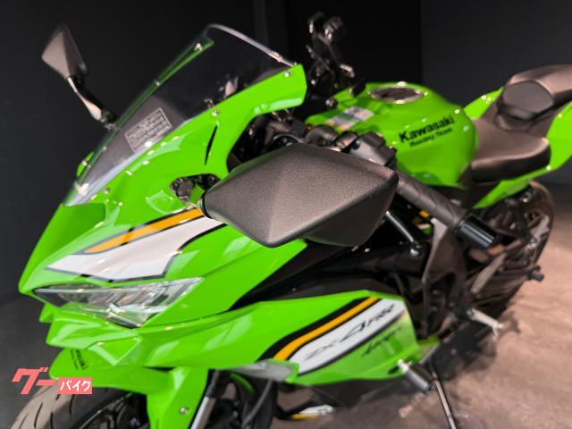 M'z SPEED ヴォクシー 80系 後期 ZSグレード GRACE LINE フード