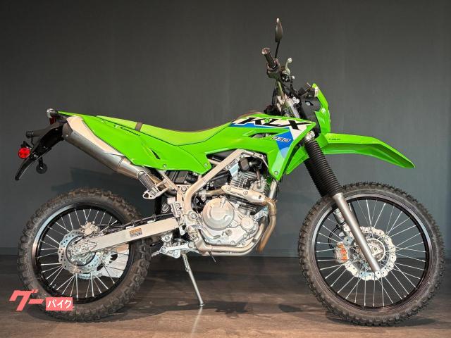 Chang Chang ピグモン Ver.グリーン WF2025夏 新品未使用 Chang Chang ピグモン Ver.グリーン WF2025夏 新品未使用 - メルカリ