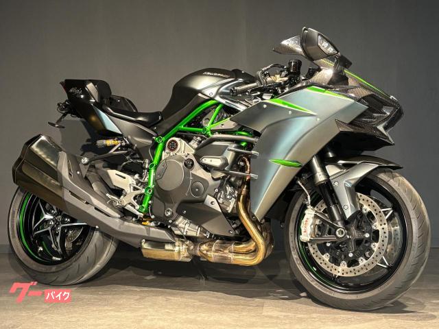 Ｎｉｎｊａ　Ｈ２カーボン　フェンダーレス　ナノウィンカー　ＥＴＣ搭載　エンジンスライダー　トリックスターステムキャップ　世界最高峰