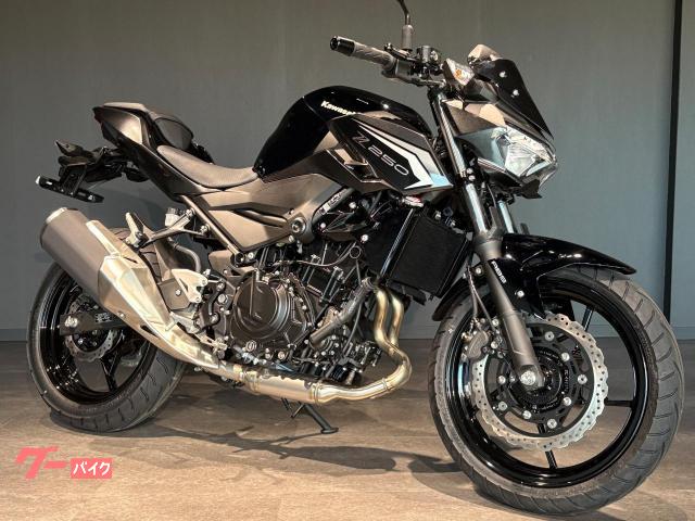 Ｚ２５０　ＭＹ２０２６　エボニー　メタリックカーボングレー