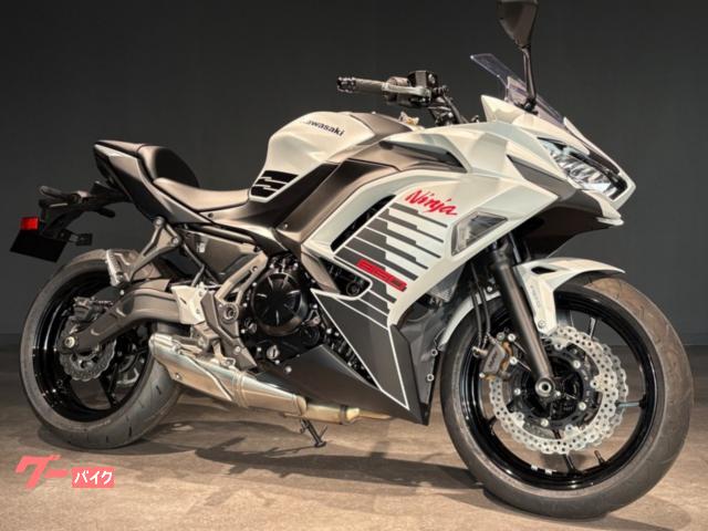 Ｎｉｎｊａ　６５０　ＭＹ２０２６　メタリックマットホワイティッシュシルバー　メタリックフラットスパークブラック