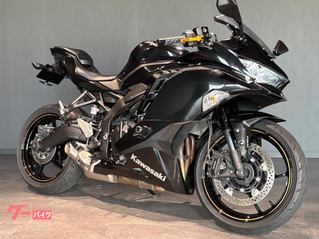 Ｎｉｎｊａ　ＺＸ−２５Ｒ　ＥＴＣ２．０装備　社外スライダー　フェンダーレス
