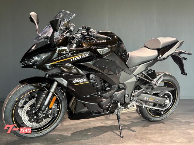 カワサキ Ninja 1100 SX メタリックブリリアントゴールデン