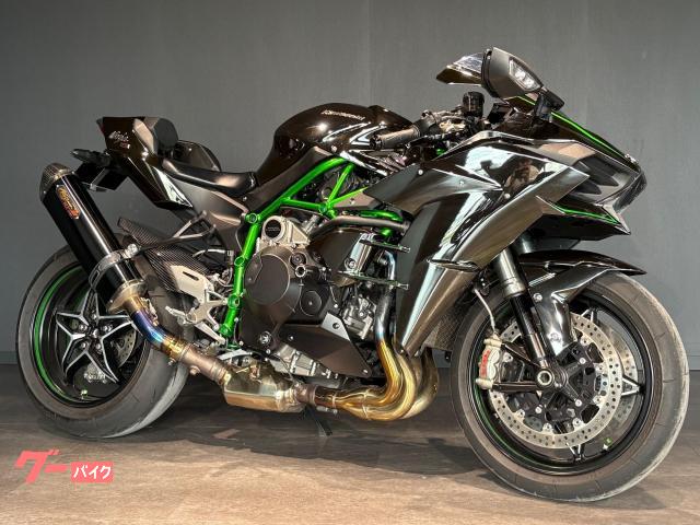 Ｎｉｎｊａ　Ｈ２　ＭＹ２０１５　ＥＴＣ装備　ノジマ製スリップオン装備　フェンダーレス装備　社外スライダー装備