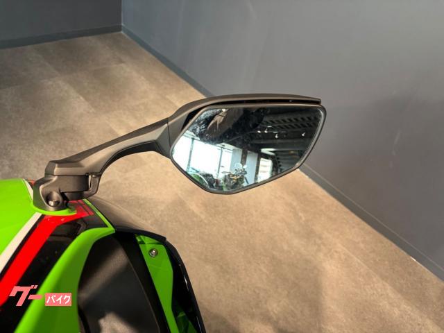 カワサキ Ninja ZX－10R ETC装備 バックステップ装備
