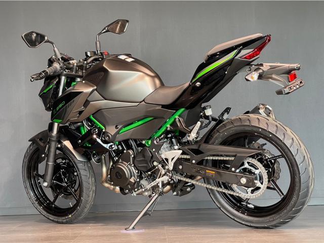 カワサキ Z250 MY2024 メタリックマットグラフェン