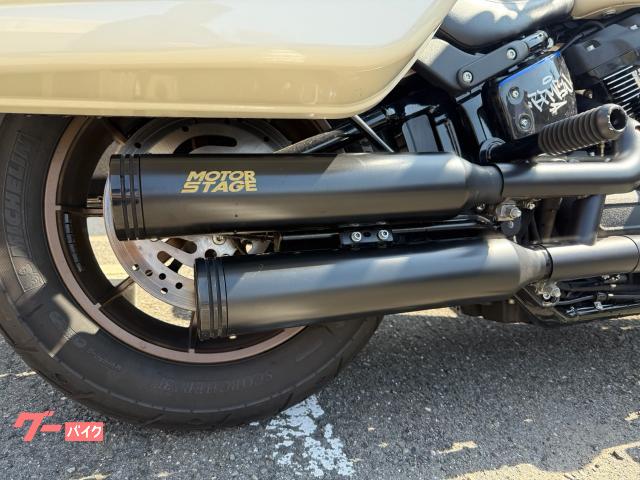 HARLEY-DAVIDSON FXLRS S 2024 — миниатюра 6