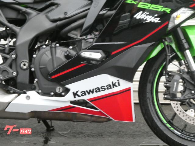 くーちゃん専用 フォトフレーLUXE 幅20cm DRDS23SW カワサキ Ninja ZX－25R SE 2022 SE KRT
