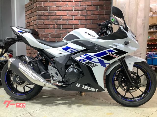ＧＳＸ２５０Ｒ　ＡＢＳ　ＵＳＢ電源　ＤＮ１２Ｂ型　クランプバー　メットホルダー　パールグレッシャーホワイトＮｏ．２