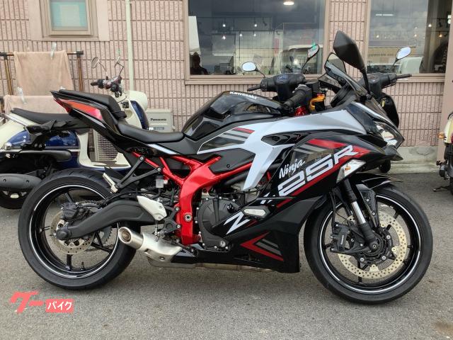 Ｎｉｎｊａ　ＺＸ−２５Ｒ　ＳＥ　タイヤ前後新品　スペアキー　社外レバー　スライダー　ＡＢＳ　ＺＸ２５０Ｅ型