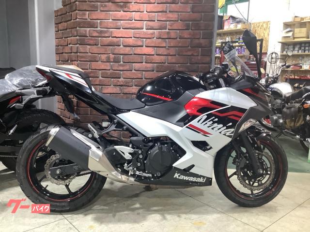 Ｎｉｎｊａ　２５０　メットホルダー　クランプバー　スペアキー　ＡＢＳ　ＥＸ２５０Ｐ型　パールブリザードホワイトＸメタリックスパーク