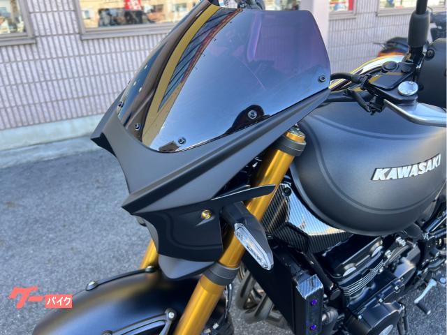 カワサキ Z900RS SE ETC フェンダーレス ビキニカウル リア