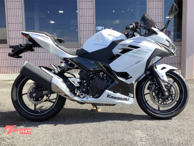 カワサキ Ninja 400 EX400L型 ETC スクリーン メット