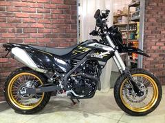 カワサキ　ＫＬＸ２３０ＳＭ　前後ドラレコ　フェンダーレス　スーパーモタード　エボニー　ＬＸ２３０Ａ型　スペアキー　ＡＢＳ