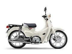 ホンダ　スーパーカブ１１０　新車２年保証　ＪＡ５９型　クラシカルホワイト